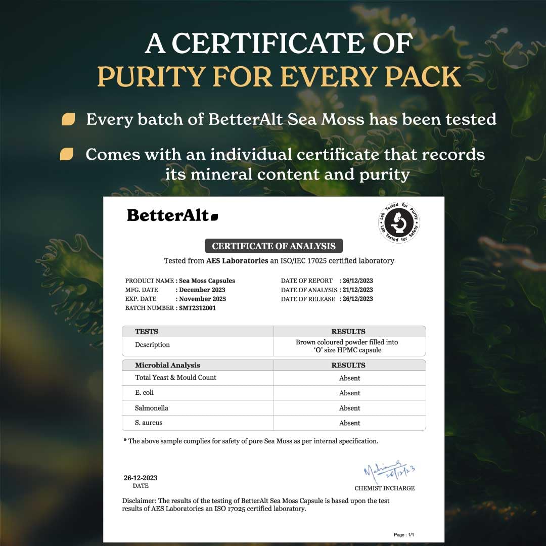 Better Alt Sea Moss Capsules- Irish Sea Moss with Black Seed Oil, Ashwagandha & Black - AB Mystery