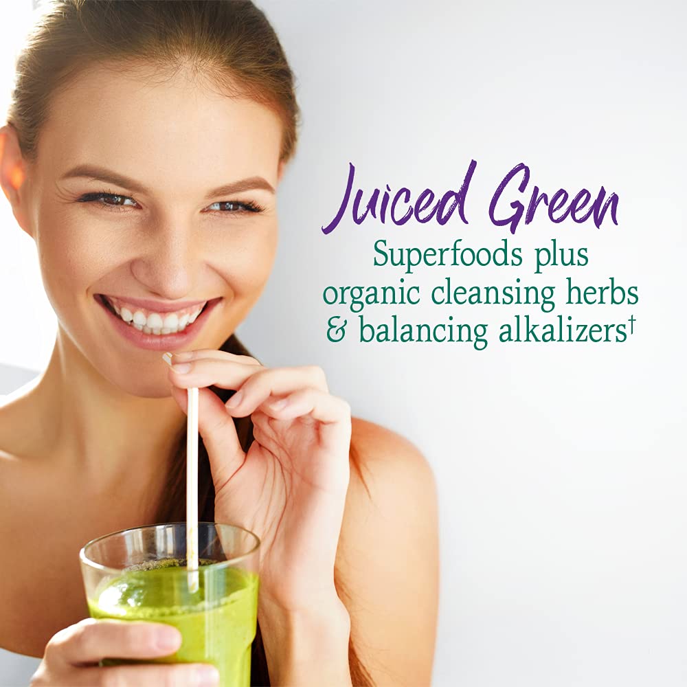 Garden of Life Raw Organic Perfect Food Alkalizer & Detoxifier Juiced Greens Superfood - AB Mystery