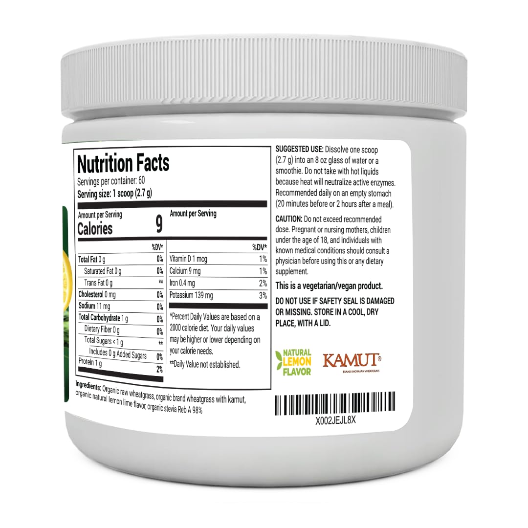 Dr. Berg's Raw Wheatgrass Juice Powder (60 Servings) - USDA Certified Organic - AB Mystery