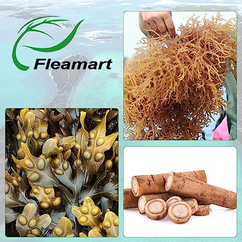 Fleamart 2 Pack Irish Sea Moss Capsules 120ct Raw Organic Sea Moss Wildcrafted Bladder - AB Mystery