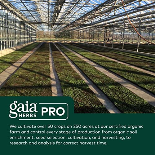 Gaia Herbs Pro Female Hormone Support - Menopause Supplement for Women - with Vitex - AB Mystery