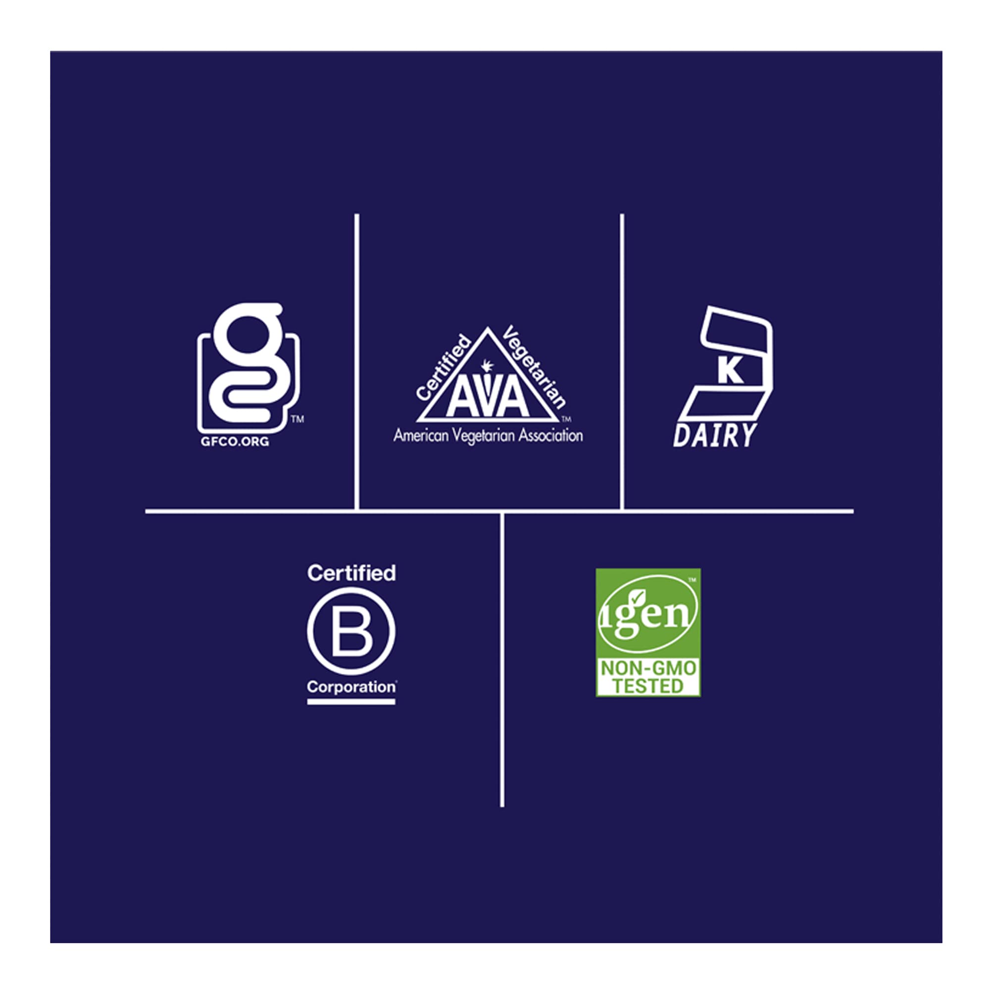 Biochem 100% Whey Sugar-Free Chocolate 20g, 12.5oz, Certified Vegetarian, Certified Glut - AB Mystery