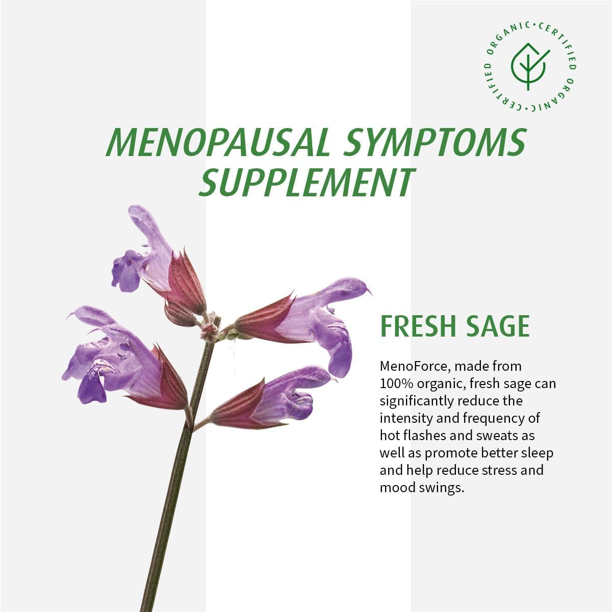 A VOGEL Organic Menopause, 90 CT - AB Mystery