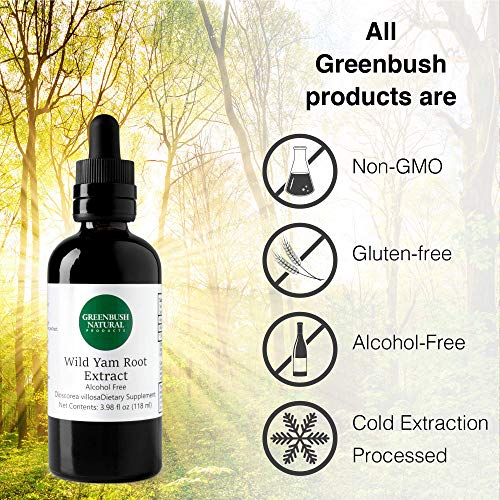 Greenbush Wild Yam Extract, Liquid Supplement (4 Ounces) - AB Mystery