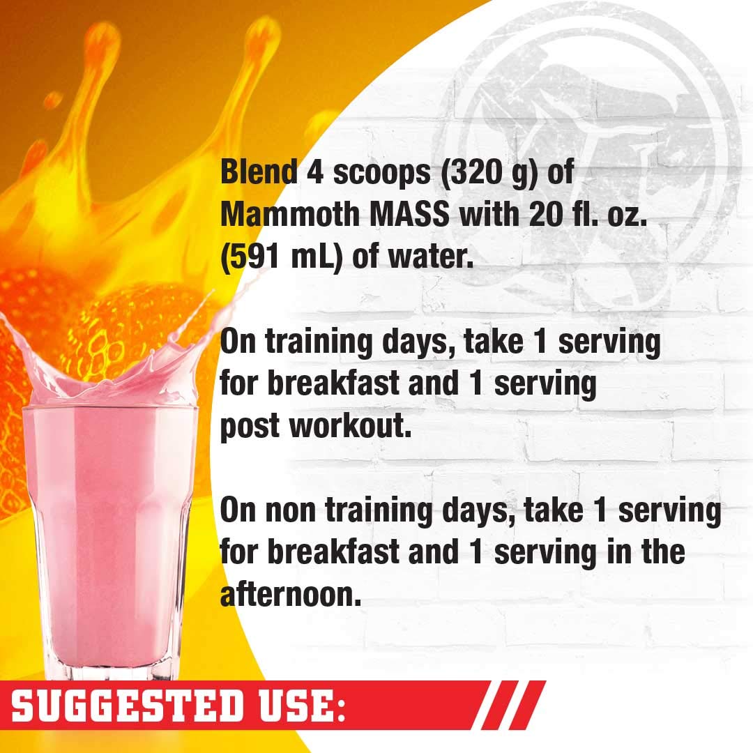 Inter-Active Nutrition Mammoth Mass Supplement, 2.27kg Strawberry Mammoth