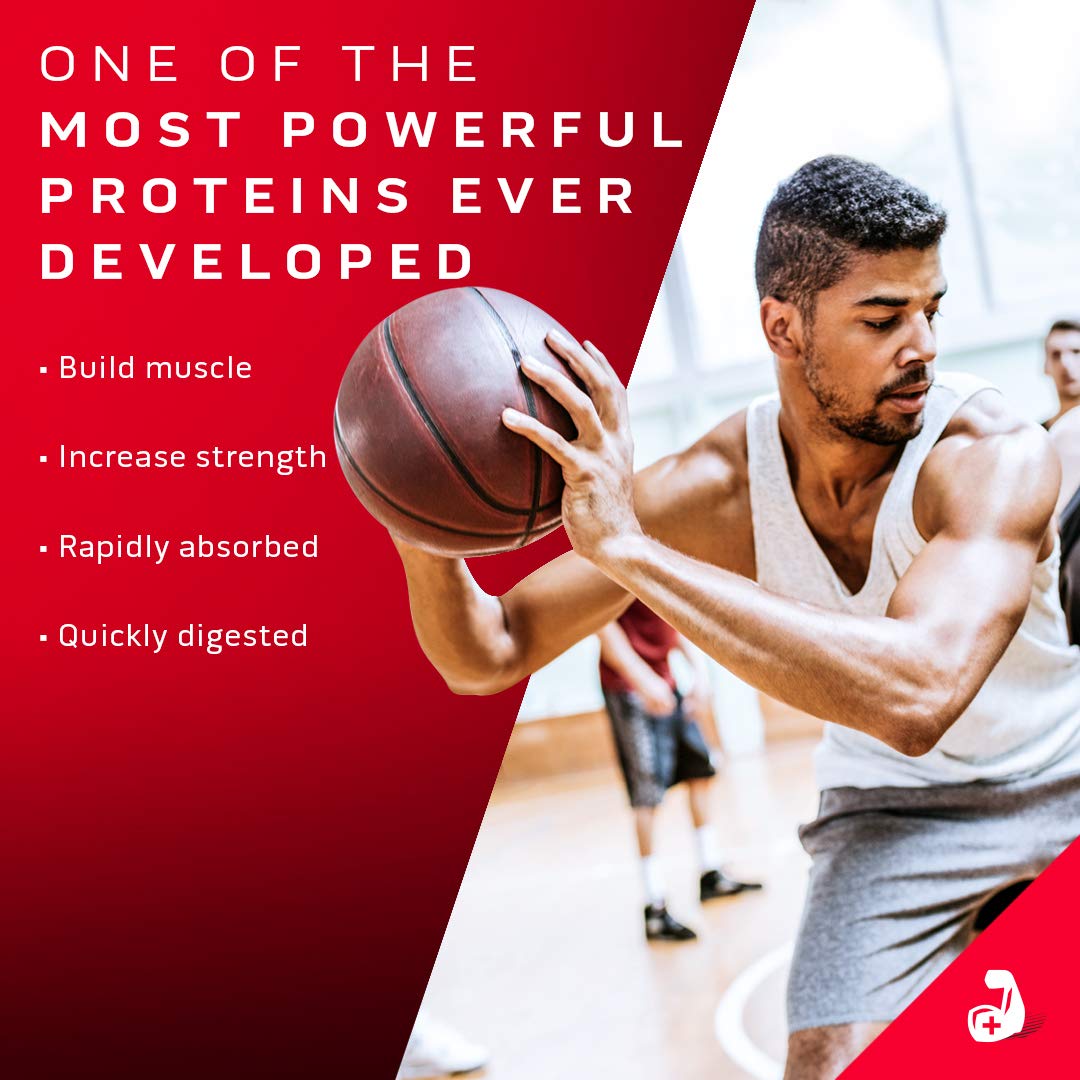 Whey Protein Powder MuscleTech Nitro-Tech Whey Gold Protein Powder Whey Protein - AB Mystery