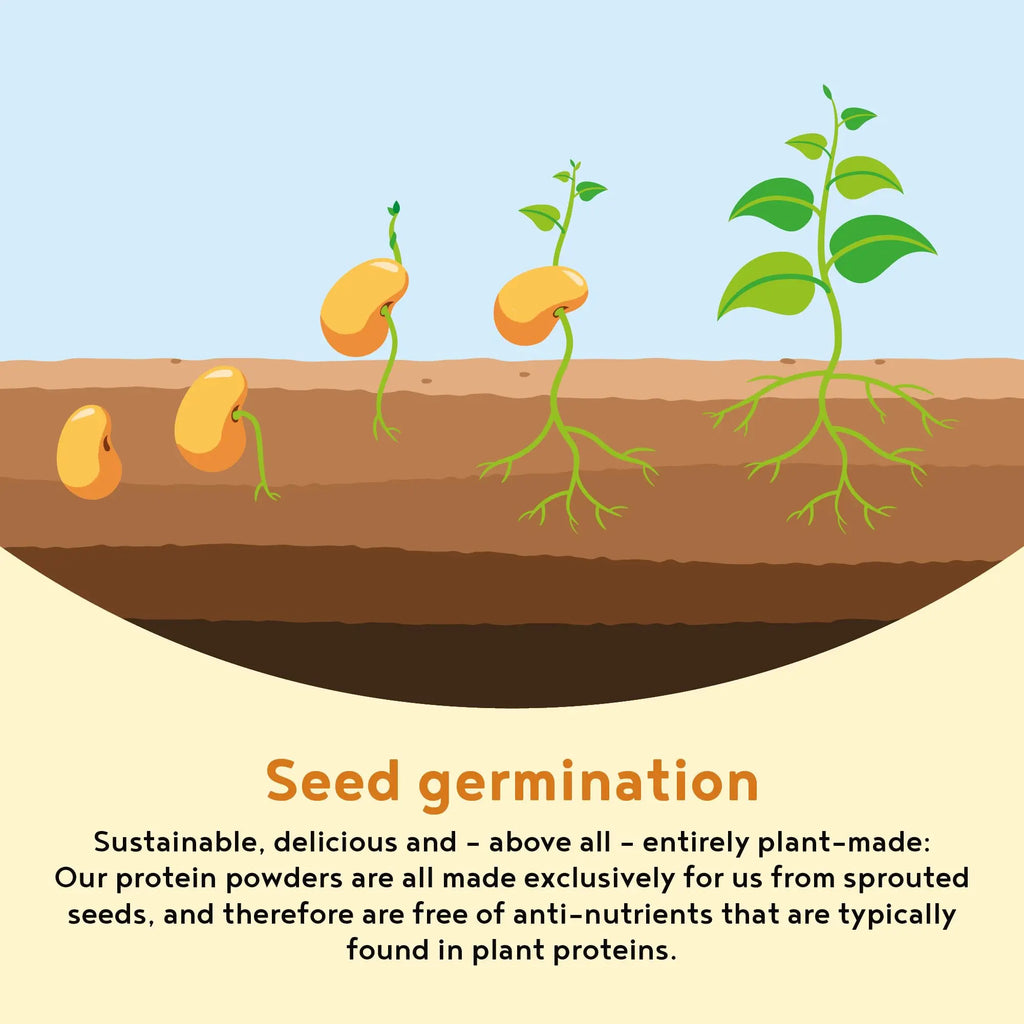 Vegan Protein Powder - Muscle Building Powder with Amino Acids - Plant Based Protein Shake Alpha Foods