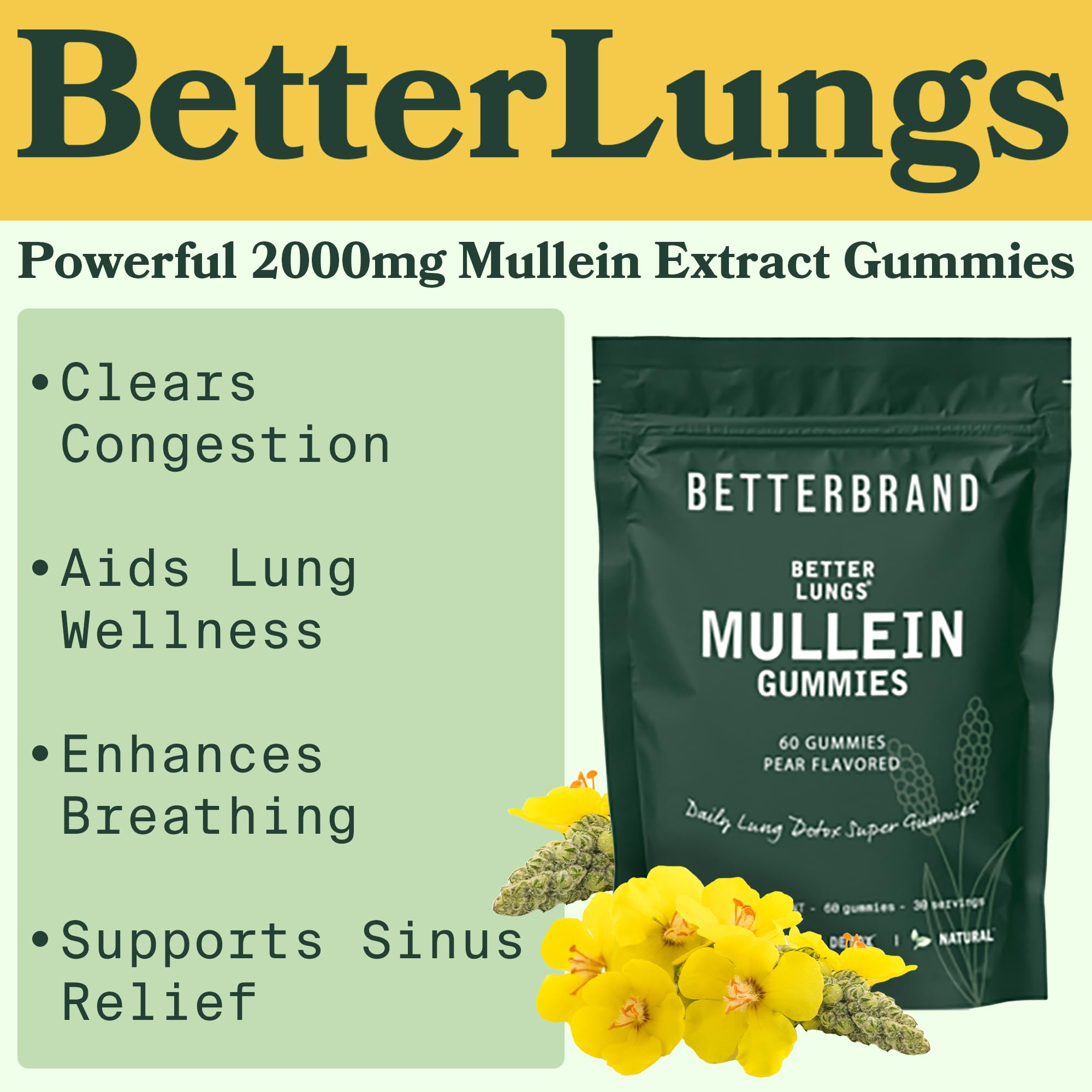 Betterbrand BetterLungs - Daily Respiratory Health Gummies | 1000mg Mullein Leaf herb - AB Mystery