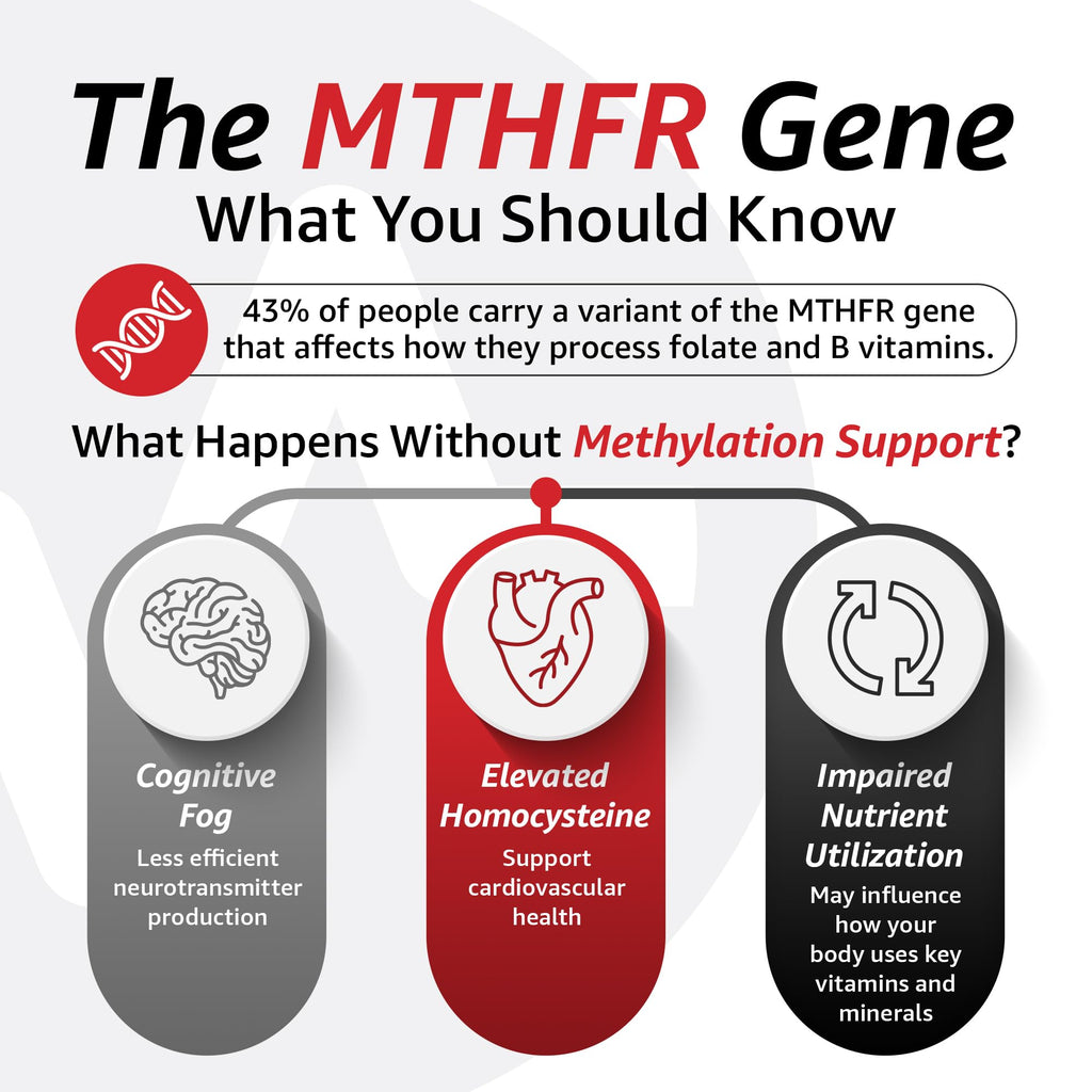 10X Health Children’s Methylated Multivitamin Gummies - 60 Count Kids Multivitamin Gummies, Complete Daily Nutrition - AB Mystery