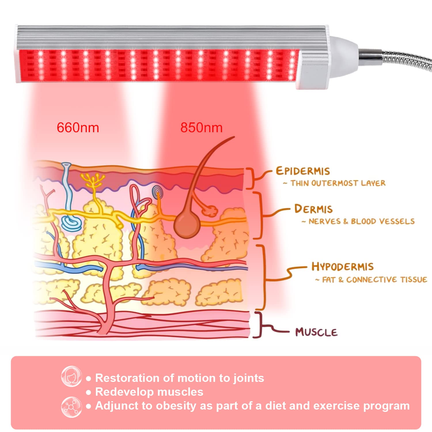 MAINENG Infrared & Red Light Therapy Lamp with Timer, 660nm & 850nm LED - M7685 - AB Mystery