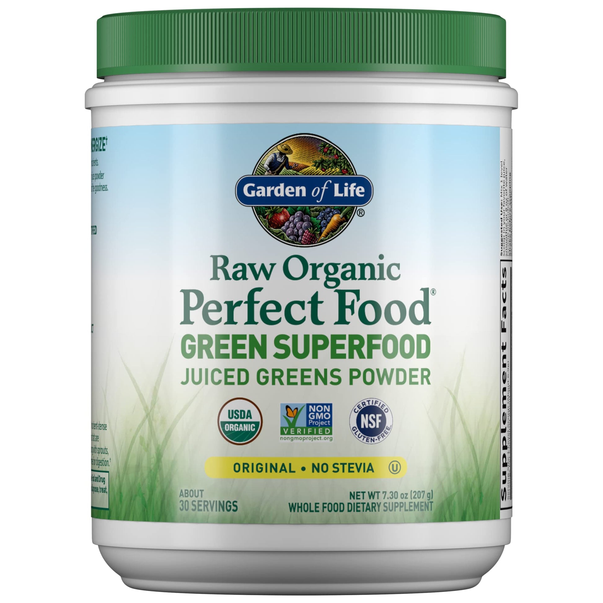 Garden of Life Raw Organic Perfect Food Alkalizer & Detoxifier Juiced Greens Superfood - AB Mystery