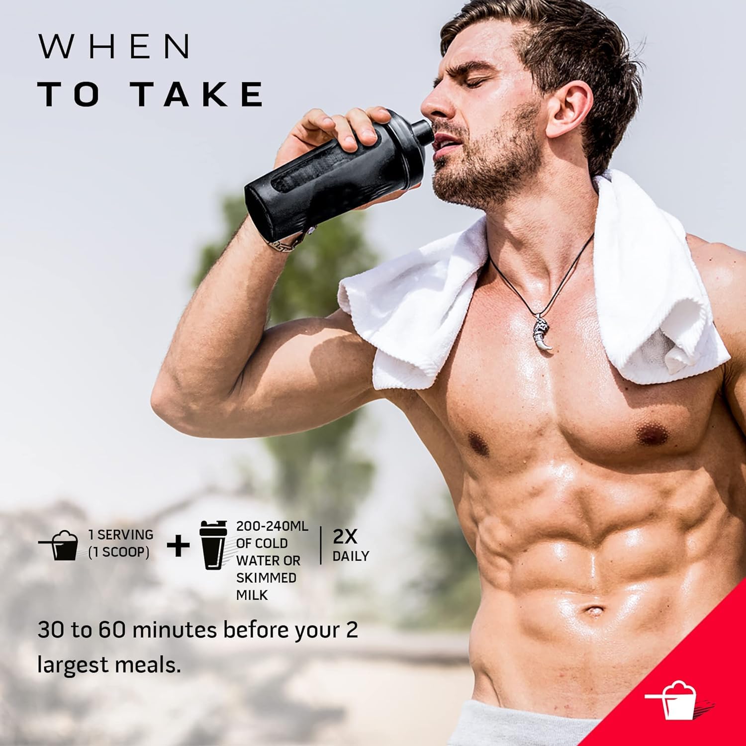 Protein Powder for Weight Loss |MuscleTech Nitro-Tech Ripped |Whey Protein Powder - AB Mystery