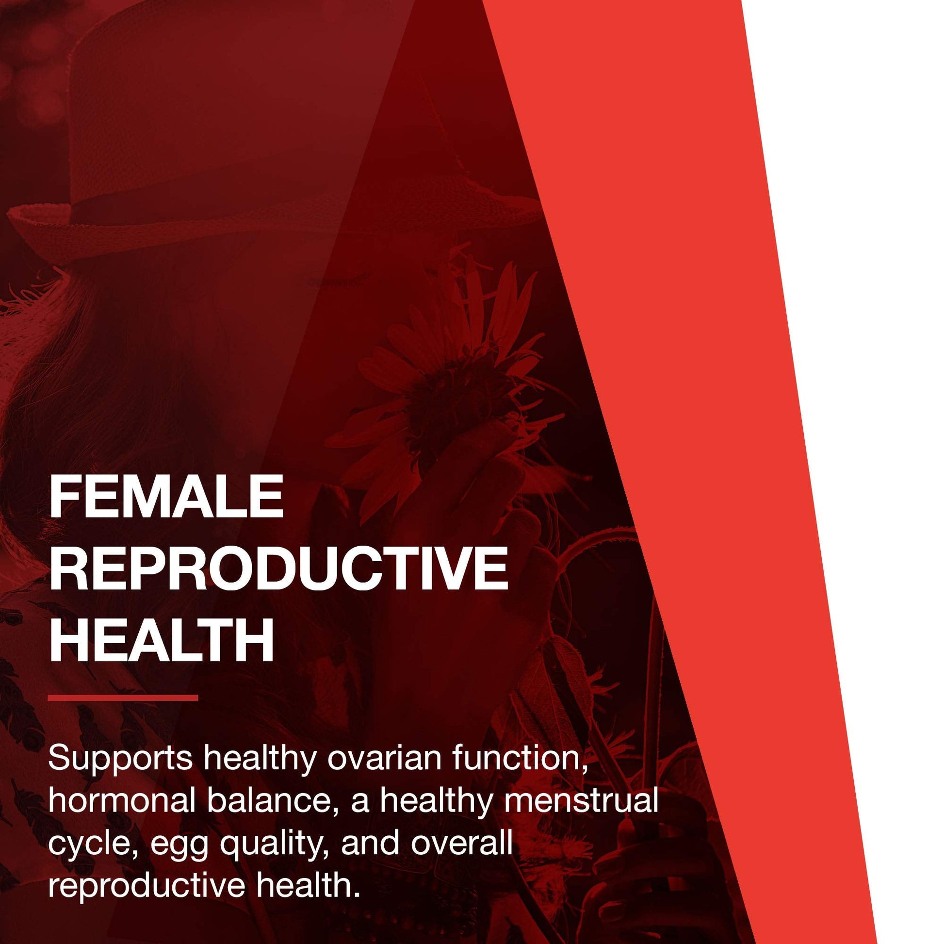 Protocol For Life Balance - Myo-Inositol Powder - Supports a Healthy Mood, Emotional - AB Mystery