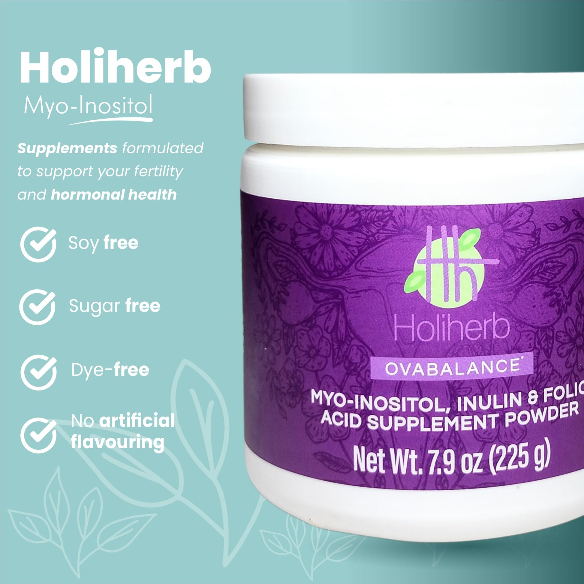 Holiherb 4g Myo Inositol + Folic Acid - AB Mystery