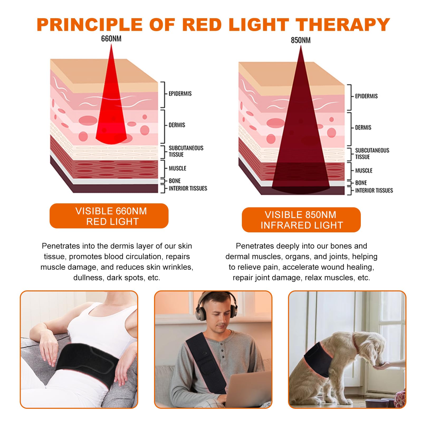 EquiZen Red Light Therapy Belt - Red Light Therapy for Body, Infrared Light Therapy Device - AB Mystery