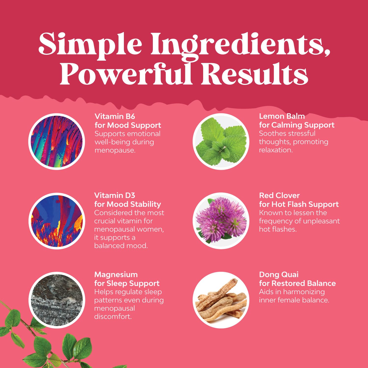 Natures Craft Bundle of Herbal Menopause Supplement and Advanced Thyroid Support - AB Mystery