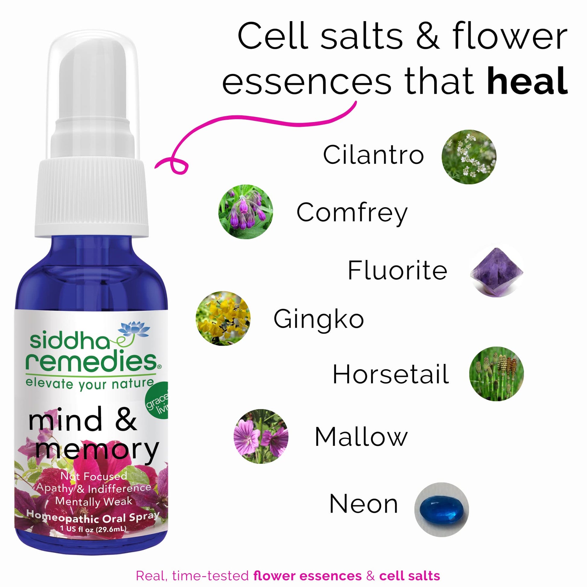 Siddha Remedies Mind & Memory Spray for Apathy, Indifference & Low Focus - AB Mystery