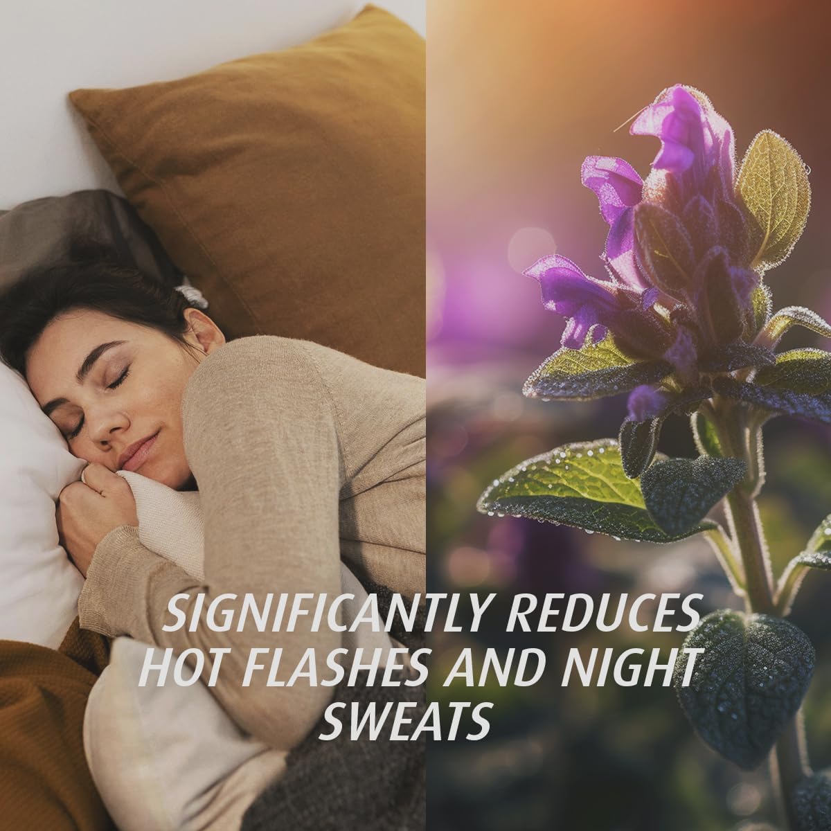 A VOGEL Organic Menopause, 90 CT - AB Mystery