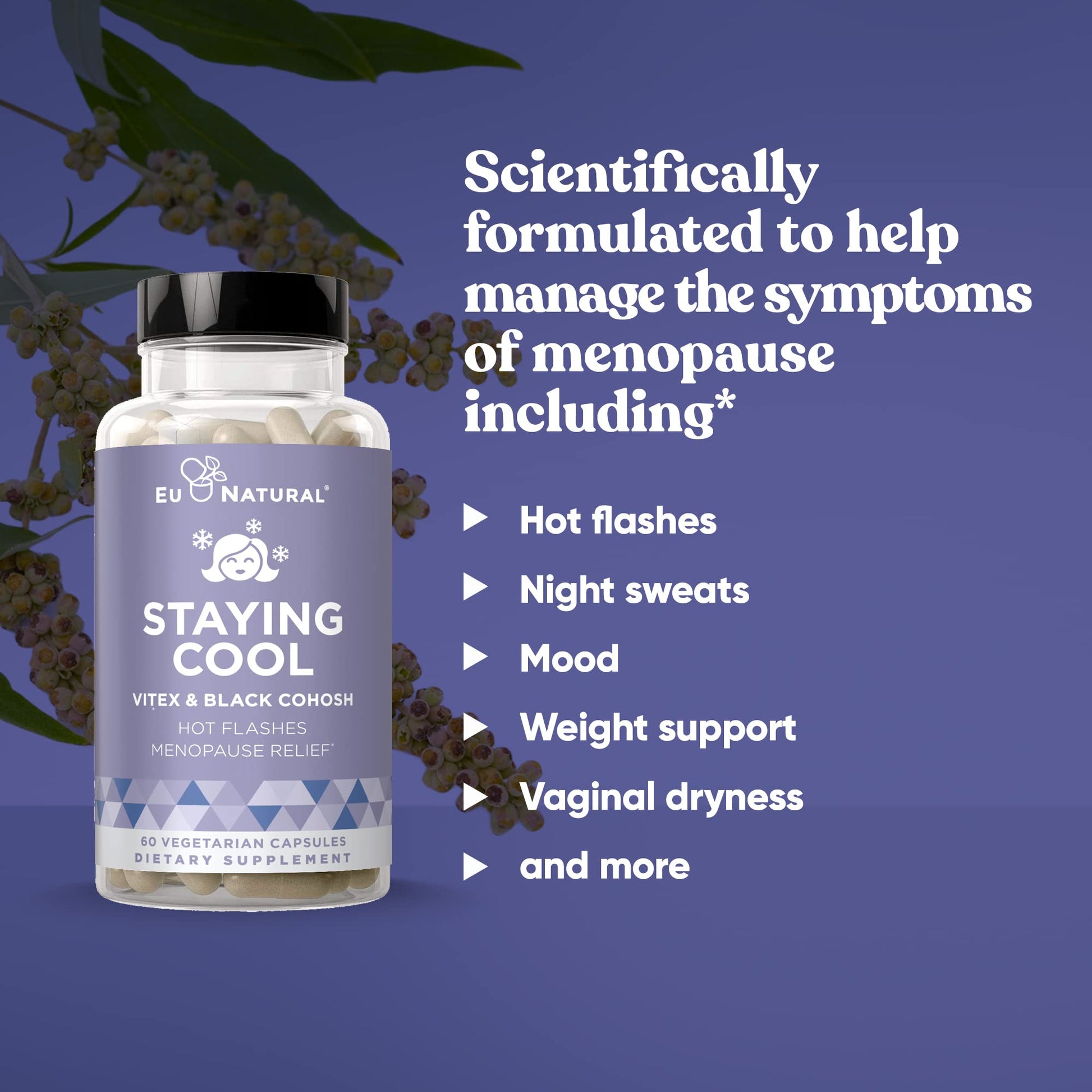 Staying Cool Menopause Supplements for Women – Hormonal Hot Flashes, Weight Support - AB Mystery
