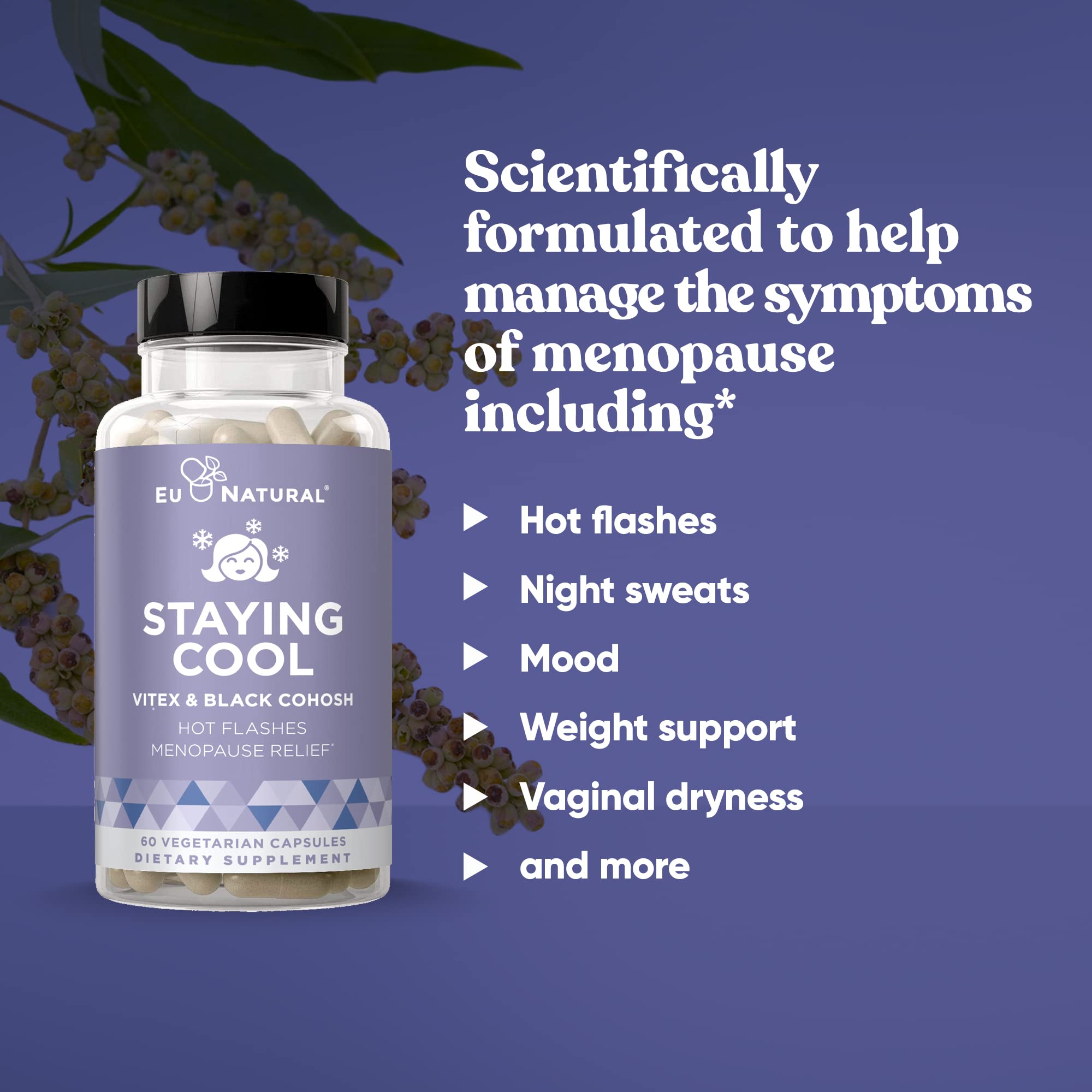 Staying Cool Menopause Supplements for Women – Hormonal Hot Flashes, Weight Support - AB Mystery