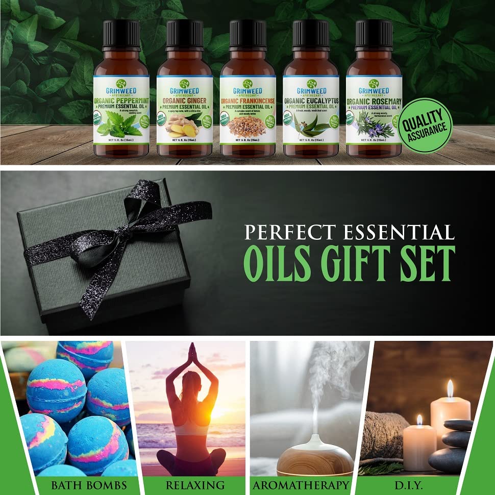 USDA Organic Ginger Essential Oil – Therapeutic Grade- Diffuser Oil - 100% All Natural - with Glass Dropper - AB Mystery