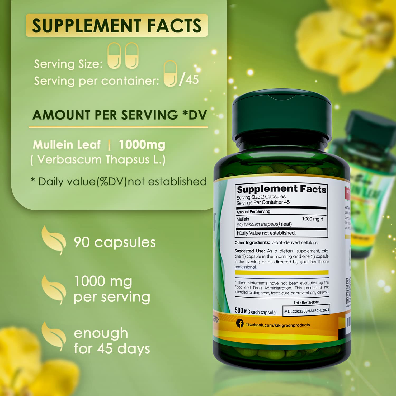 KIKI Green Mullein Leaf Extract Capsules - Herbal Respiratory Supplement - for Lung Cleans - AB Mystery
