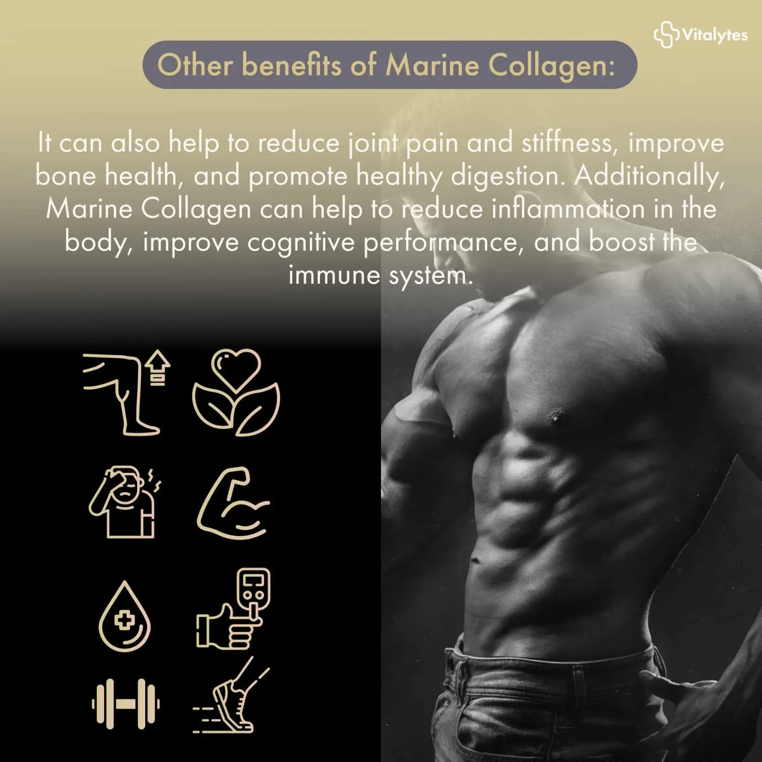 Vitalytes Marine Collagen Supplement 2400mg | 120 Marine Collagen Capsules Made in The UK - AB Mystery