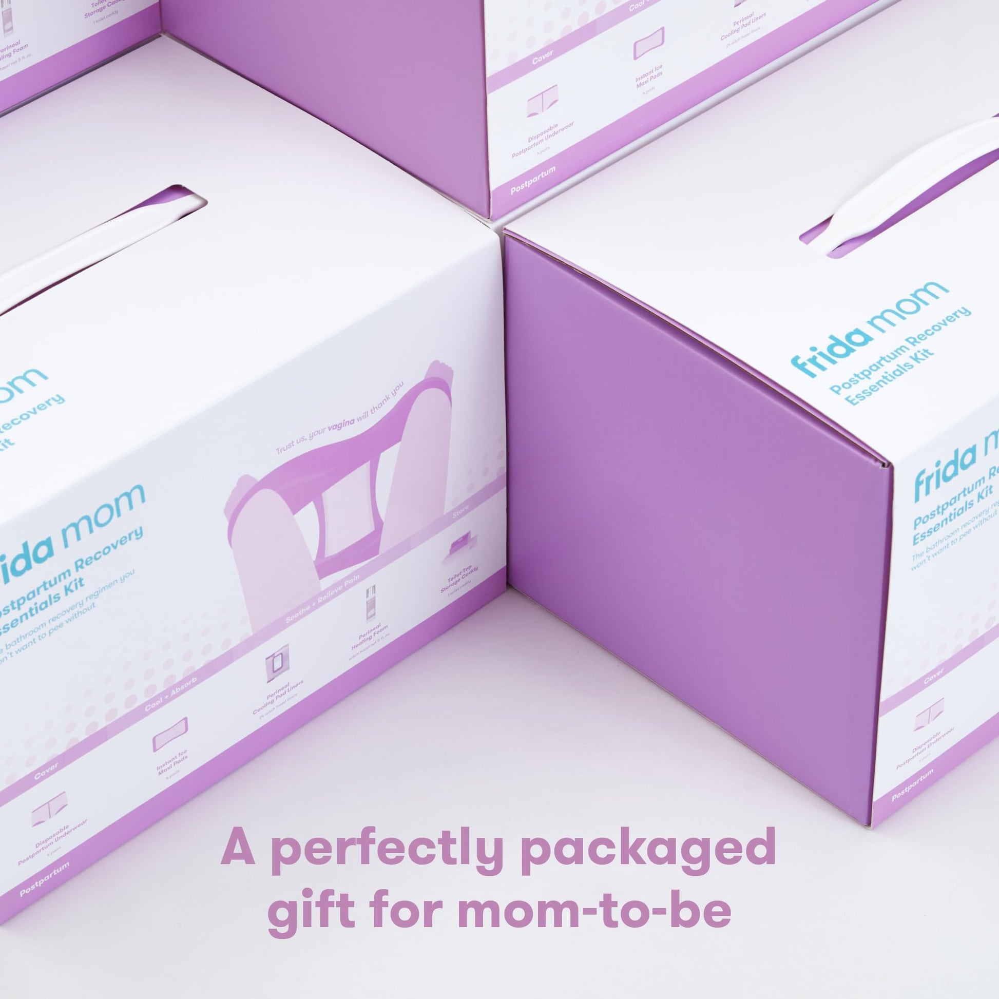 Frida Mom Postpartum Recovery Essentials Kit, New Mom Gifts, Cooling Pad Liners, Ice Maxi Pads - AB Mystery