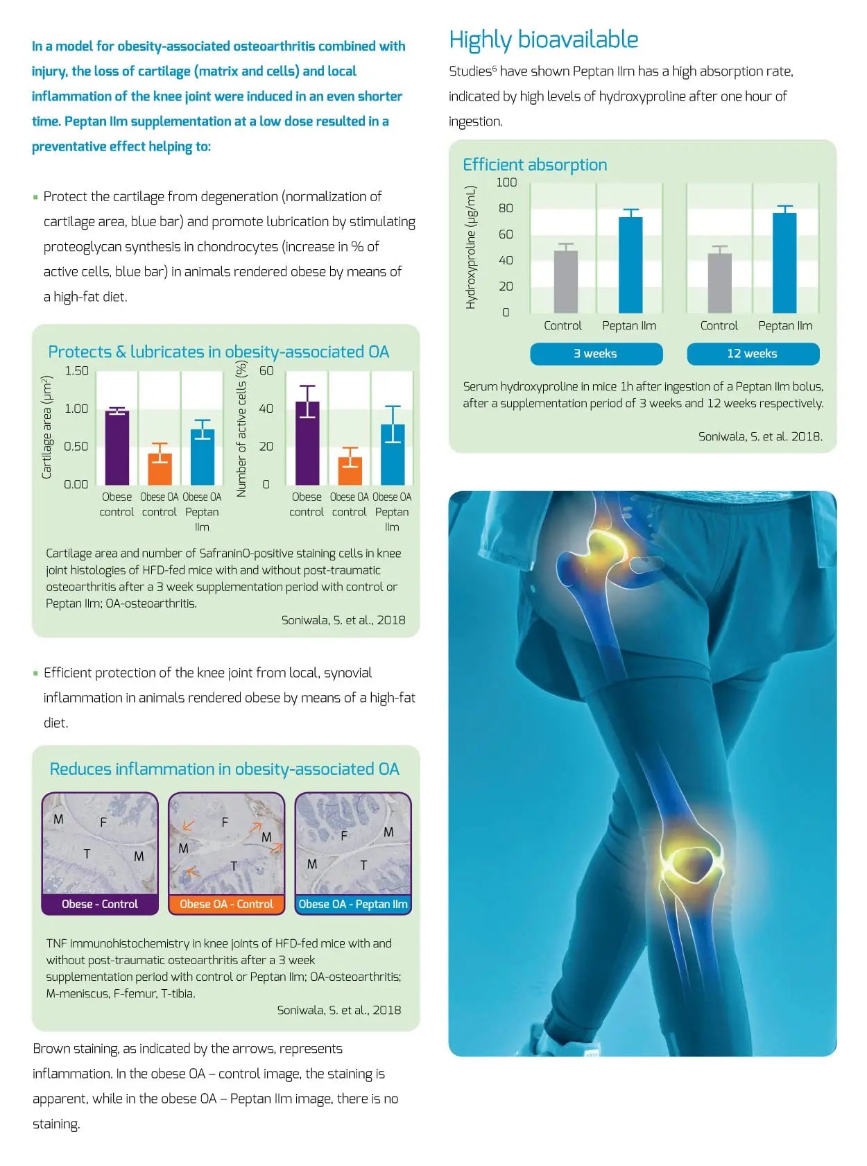 New: Colartix™ Collagen - 120 Capsules - Joint Specific Type II Collagen from Cartilage - AB Mystery