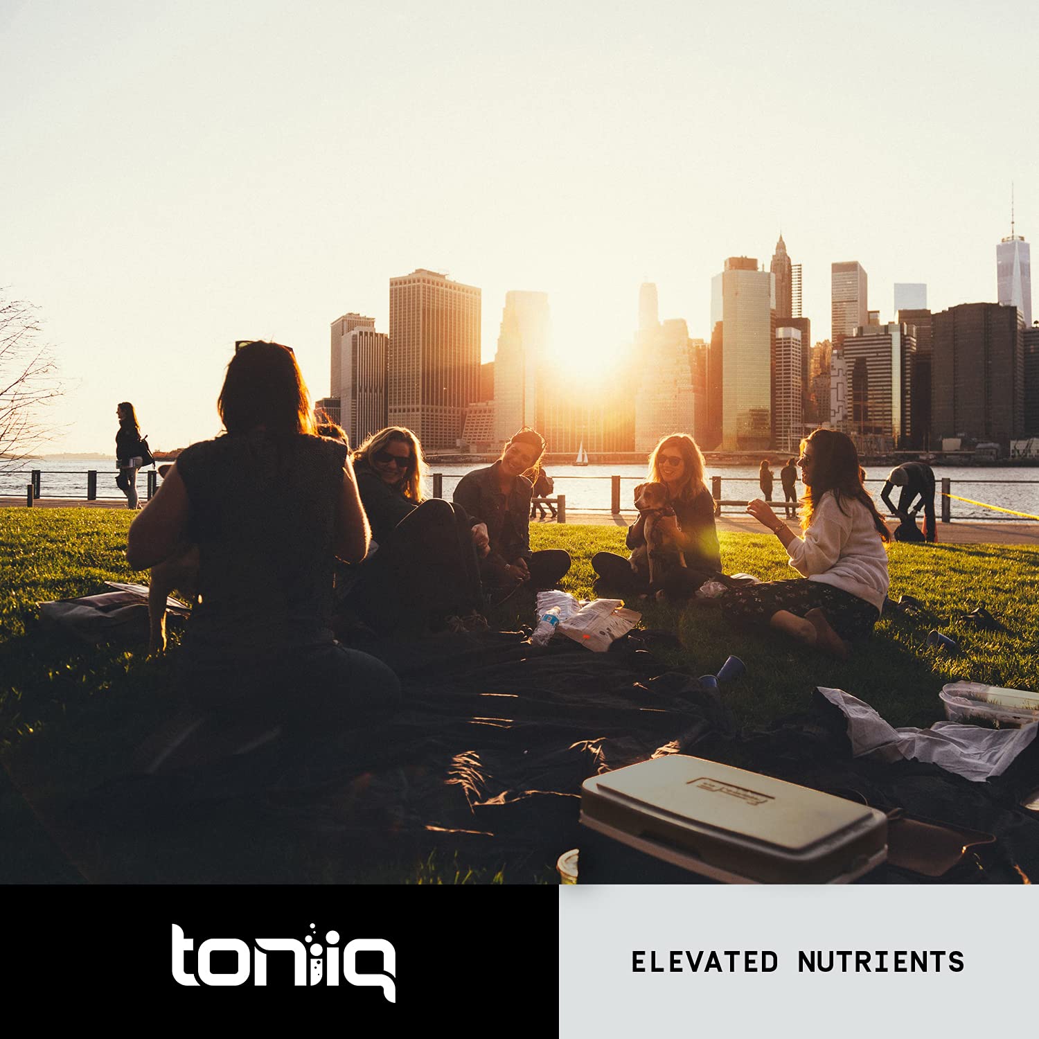 Toniiq Ultra High Strength Berberine HCl 500mg from The Himalayas - Berberine Suppleme - AB Mystery