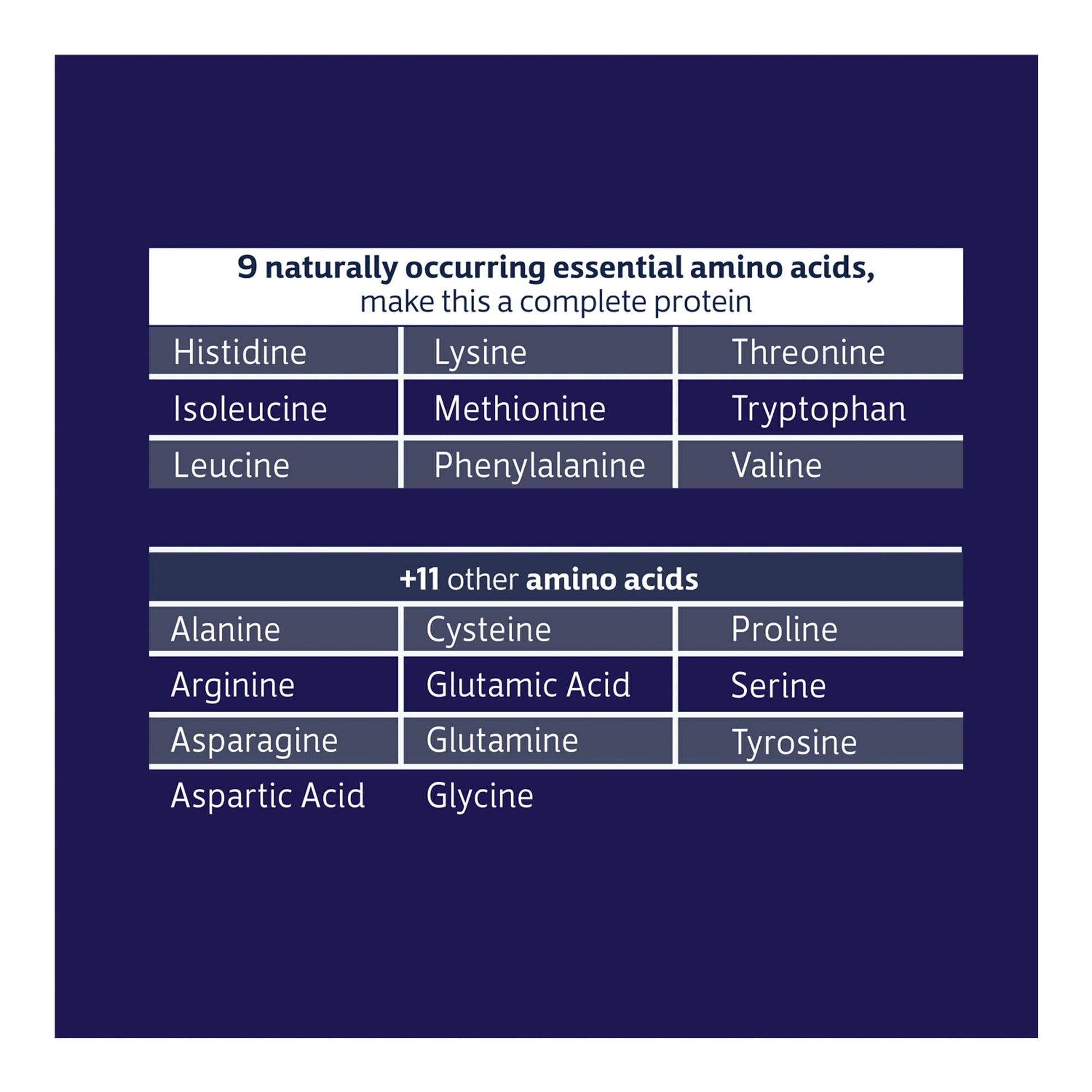 Biochem 100% Whey Sugar-Free Chocolate 20g, 12.5oz, Certified Vegetarian, Certified Glut - AB Mystery