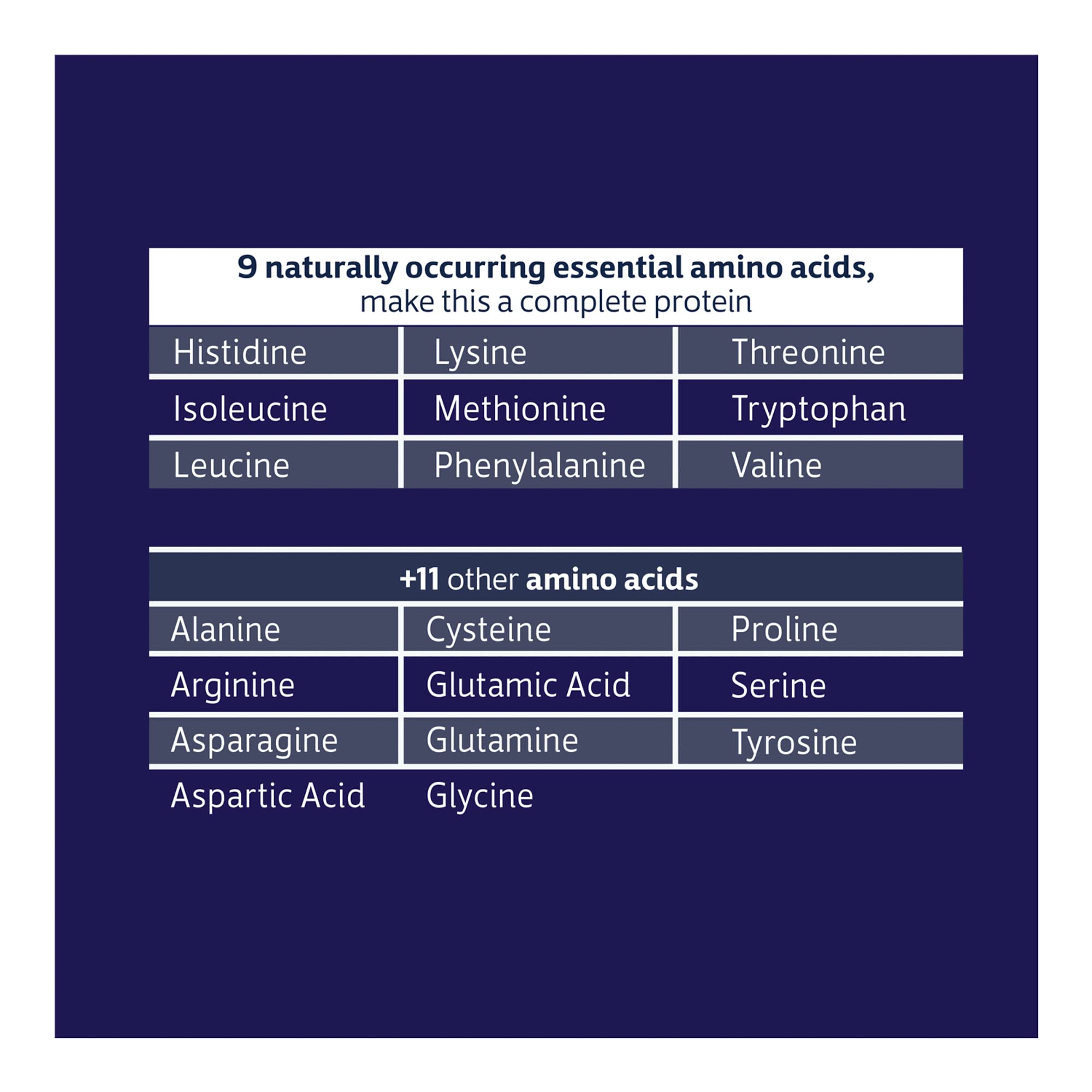 Biochem 100% Whey Sugar-Free Chocolate 20g, 12.5oz, Certified Vegetarian, Certified Glut - AB Mystery