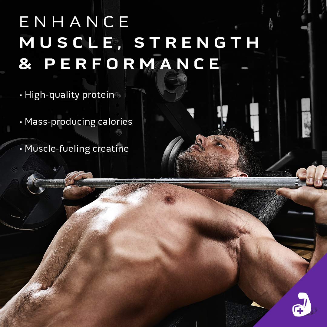 Mass Gainer MuscleTech 100% Mass Gainer Protein Powder Protein Powder for Muscle - AB Mystery