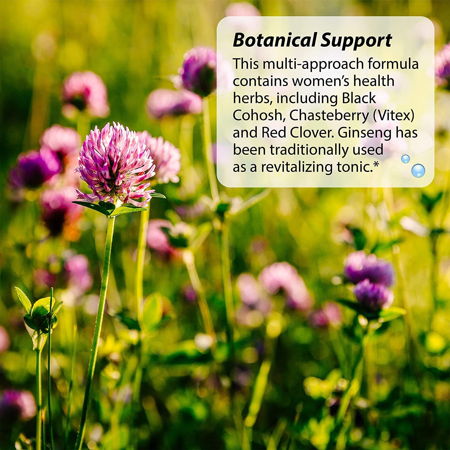 Irwin Naturals EstroPause Menopause & Women's Health Support Supplement - AB Mystery