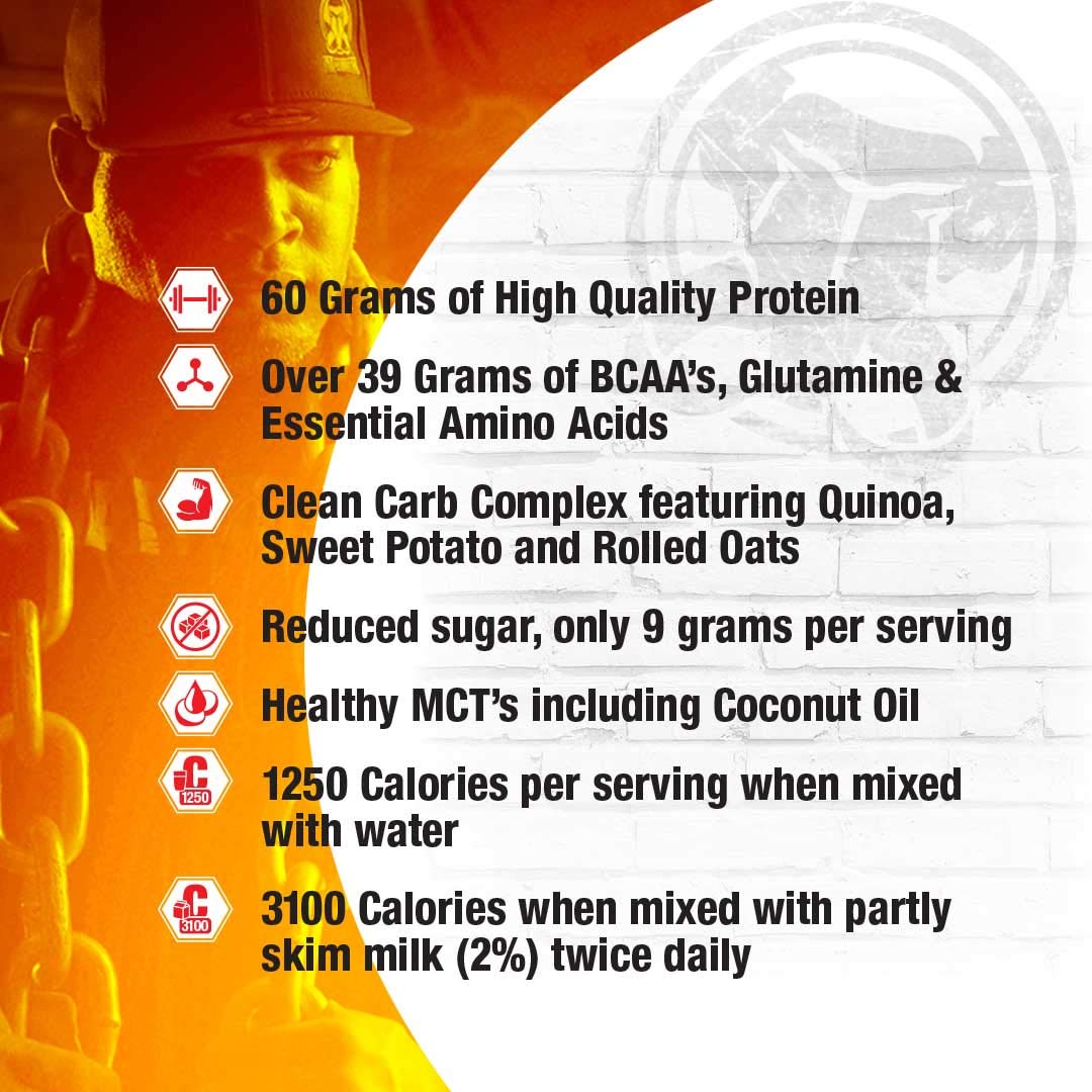 Interactive Nutrition Mammoth Mass Supplement, 5 lbs, Banana, 2.2kg Banana Mammoth