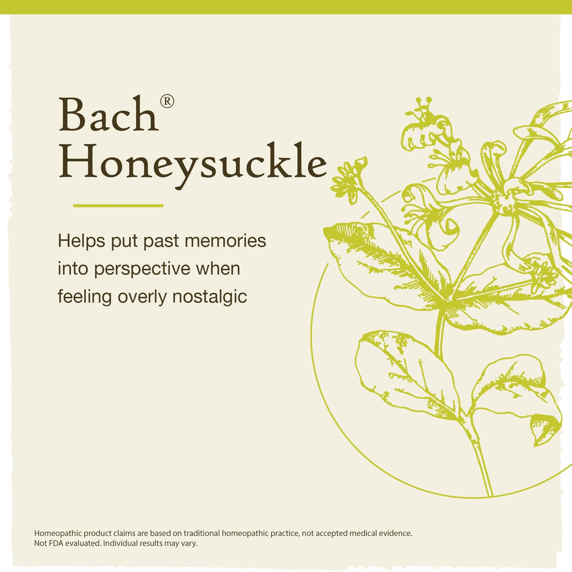 Bach Original Flower Remedies, Honeysuckle for Embracing The Now (Non-Alcohol Formula) - AB Mystery
