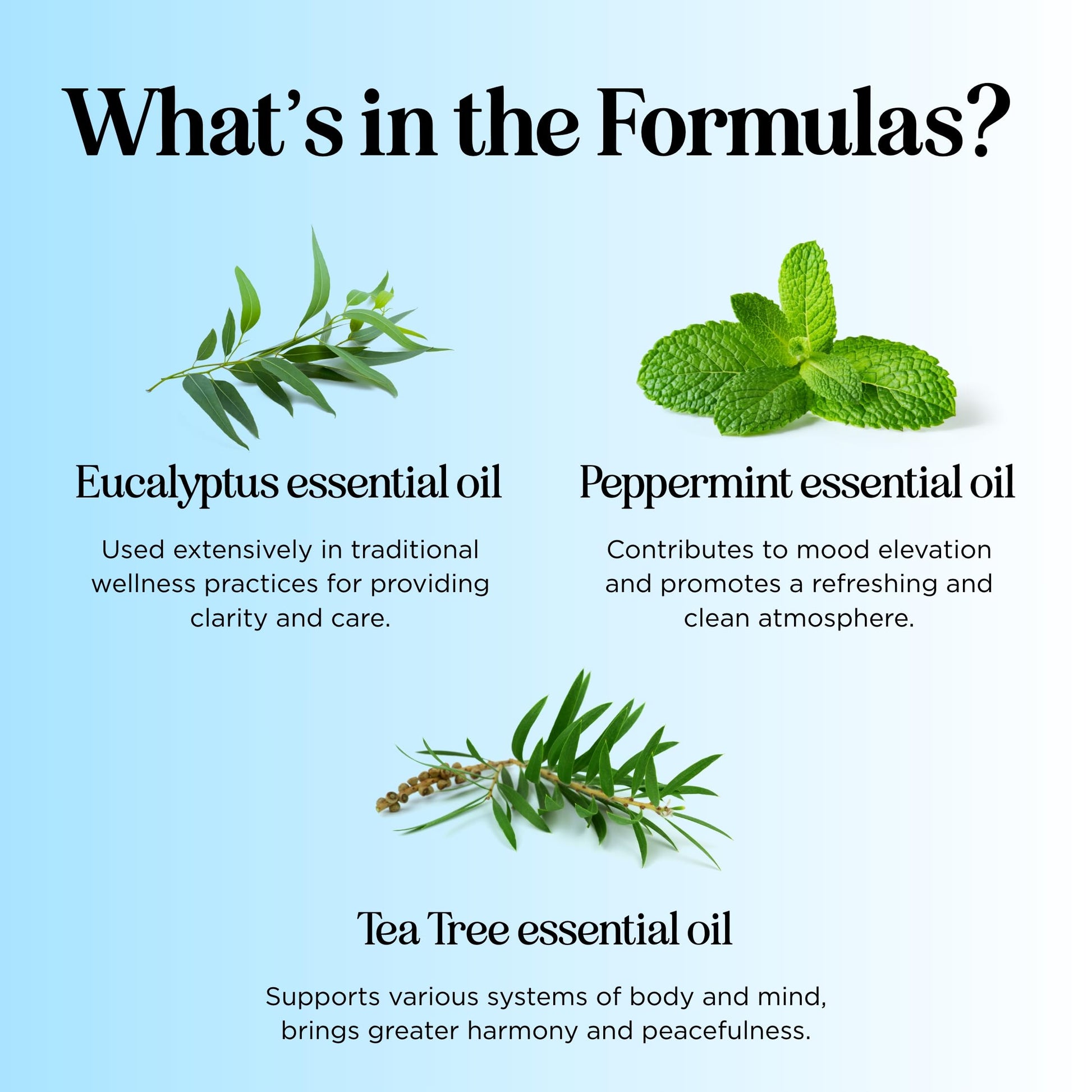 Headache Roll on Essential Oils - Aromatherapy Essential Oils Sets Variety Pack with Peppermint Clarify - AB Mystery