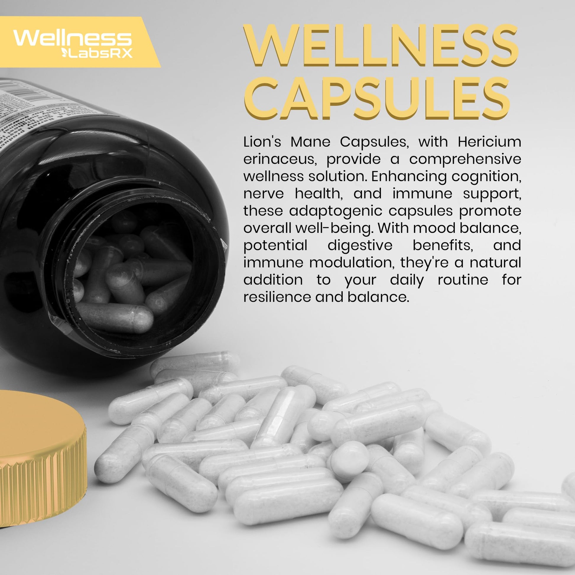 Lions Mane Supplement Capsules - 120 Count - Mushroom Supplement, Brain Supplements - AB Mystery