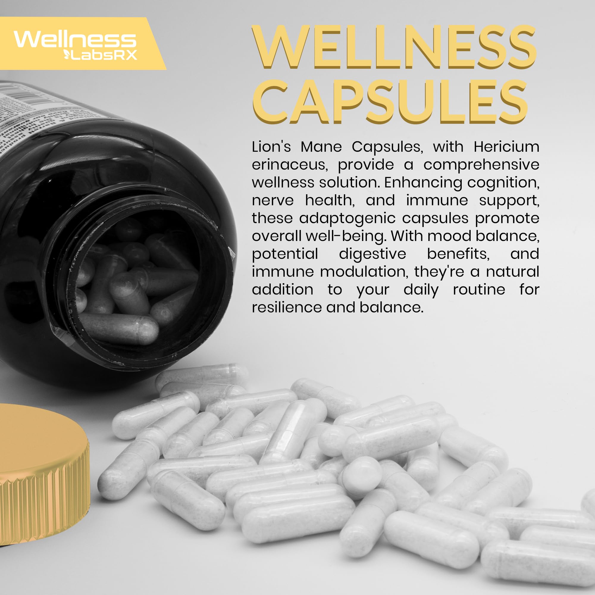 Lions Mane Supplement Capsules - 120 Count - Mushroom Supplement, Brain Supplements - AB Mystery