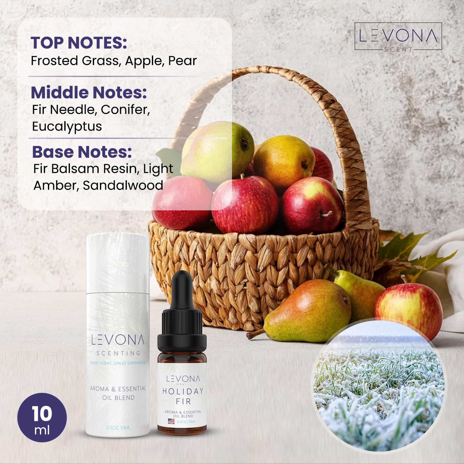 Levona Scent Christmas Essential Oils for Diffuser: Holiday Fir Essential Oil for Diffusers for Home - AB Mystery