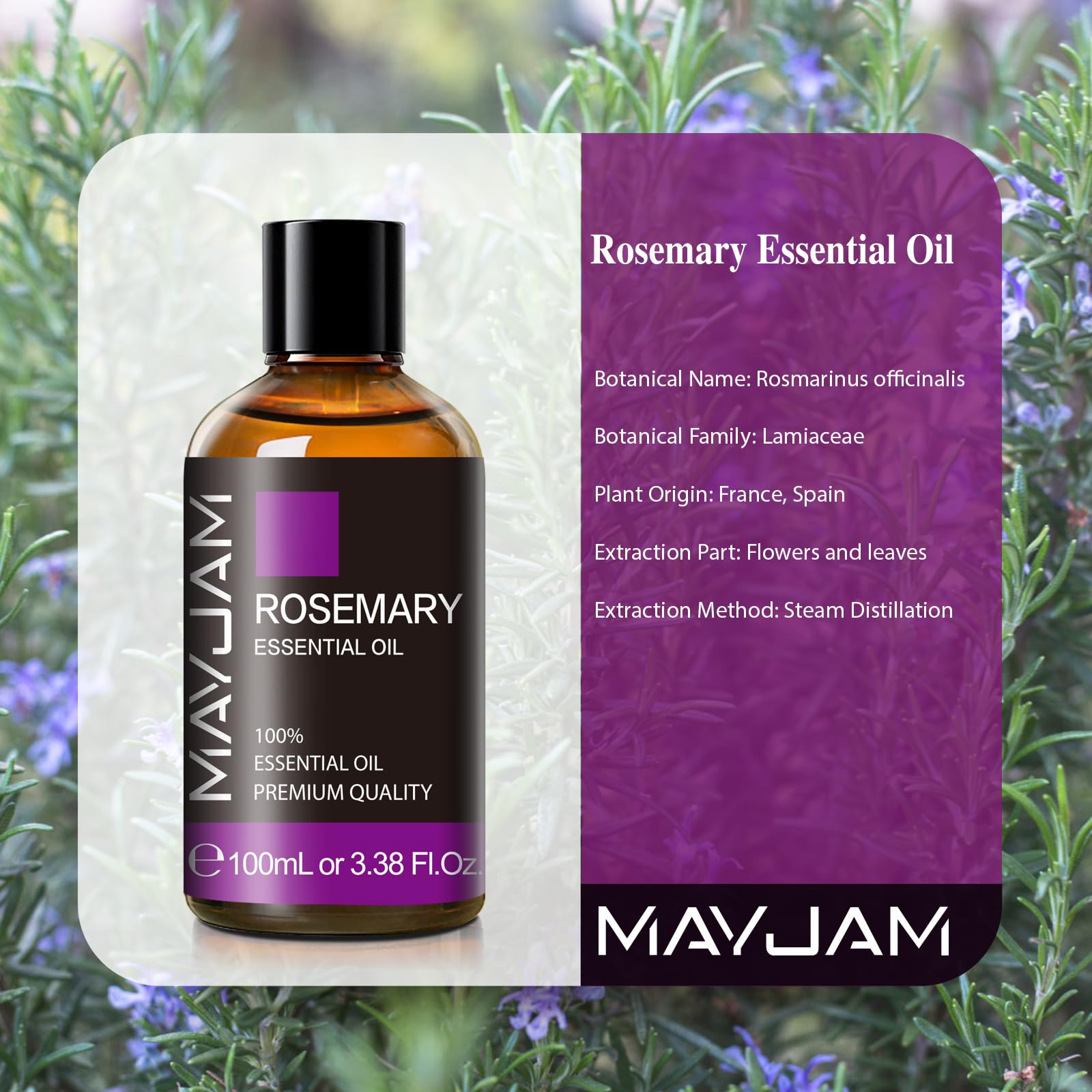 MAYJAM Essential Oil, Rosemary Oil 3.38FL.OZ - Rosemary Essential Oils for Diffusers for Home - AB Mystery