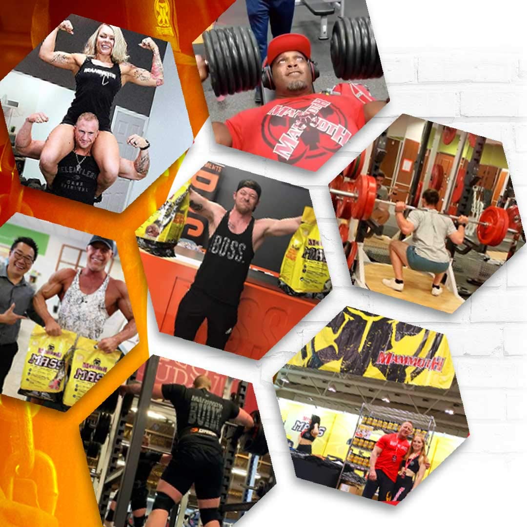 Interactive Nutrition Mammoth Mass Supplement, 5 lbs, Banana, 2.2kg Banana Mammoth