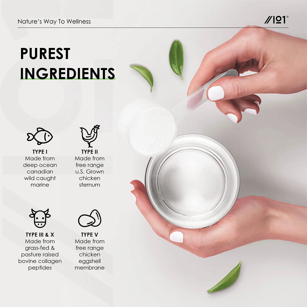 Multi Collagen Protein Powder (400g) - Types I, II, III, V & X - Hydrolyzed Grass Fed Bovine, Wild Caught Fish ALPHA01