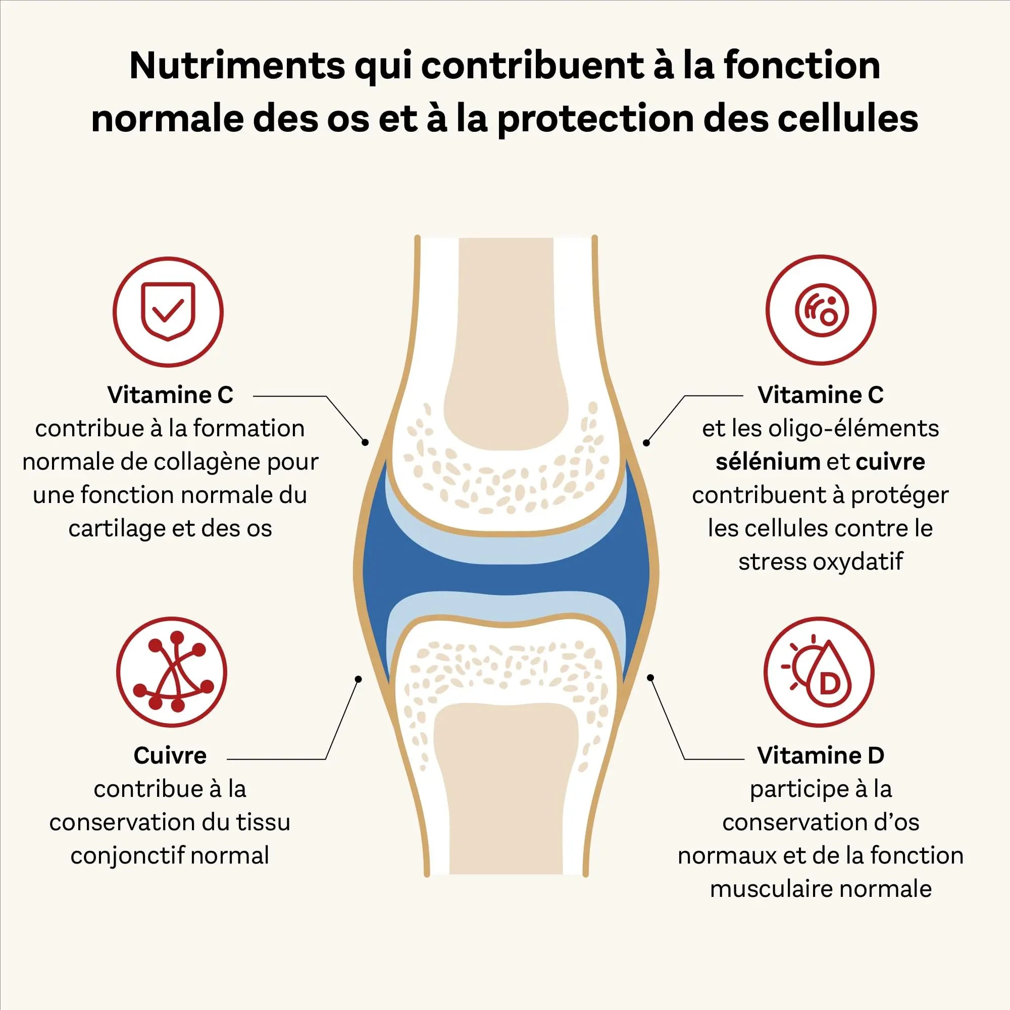 Doppelherz - Kollagen 11000 Plus - Collagen hydrolysate, chondroitin Sulphate, Vitamins C and D and Trace Elements - AB Mystery