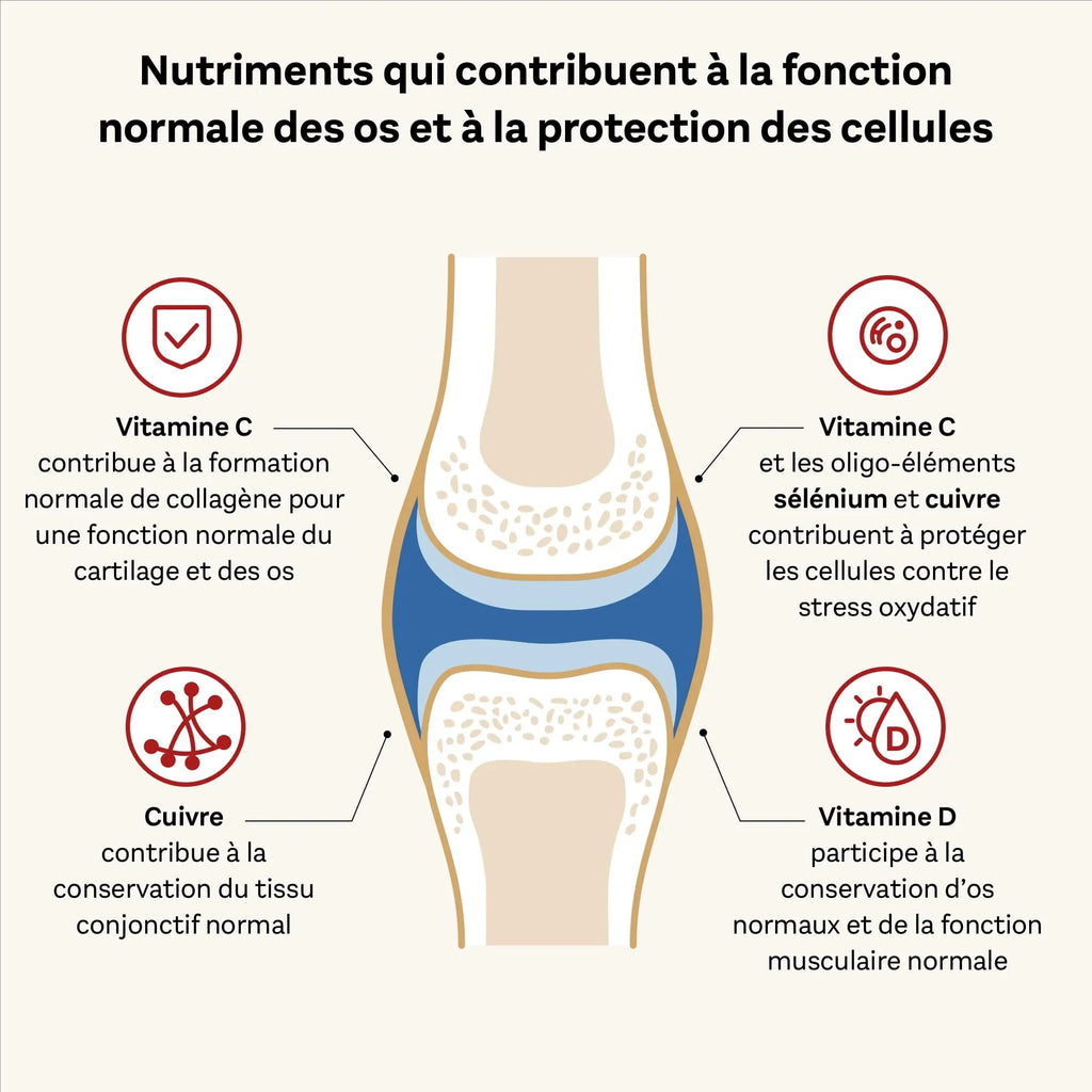 Doppelherz - Kollagen 11000 Plus - Collagen hydrolysate, chondroitin Sulphate, Vitamins C and D and Trace Elements - for Bones, cartilages and tendons - Wild Berry Flavour Liquid- 30 Bottles of 25ml - AB Mystery
