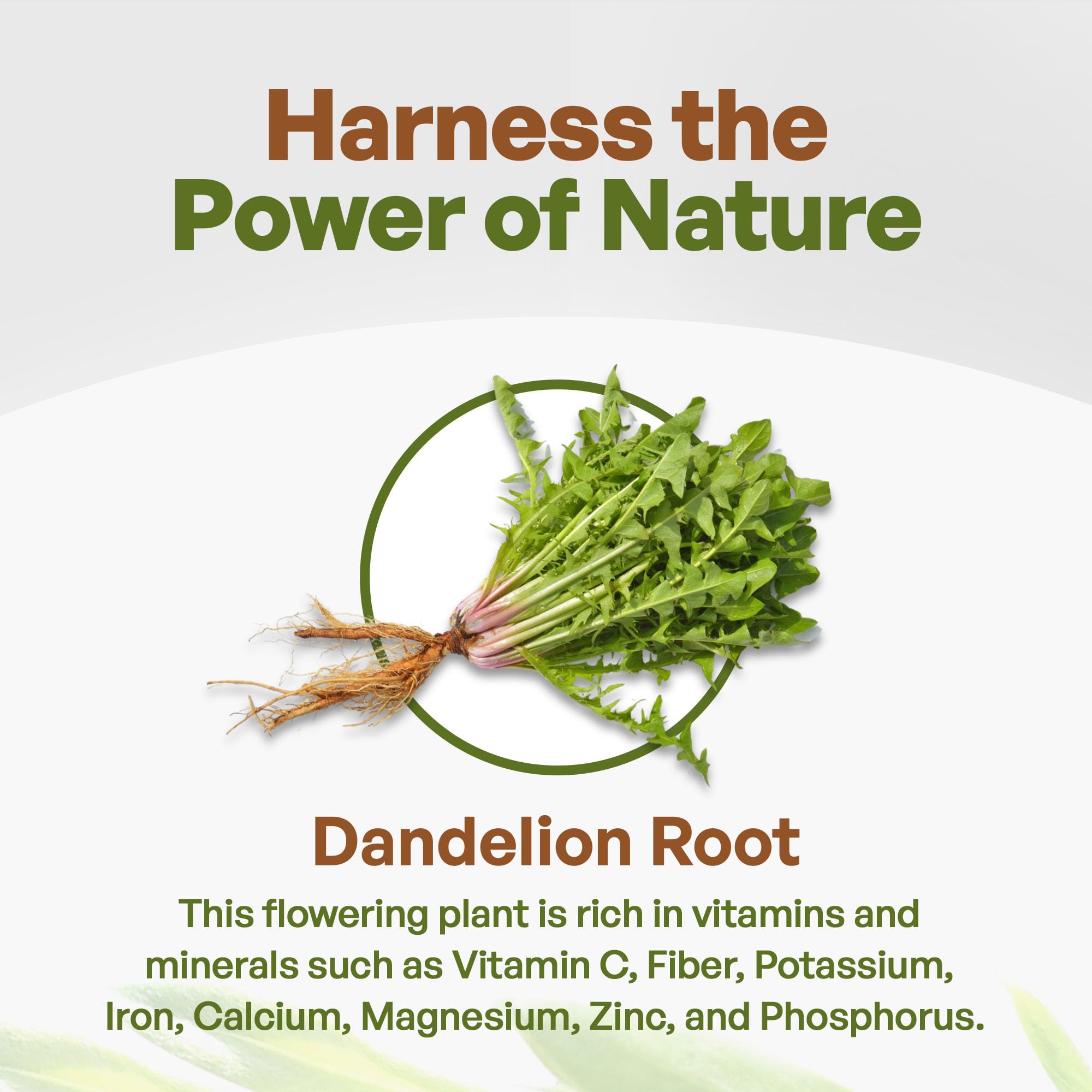 Go Nutra - Dandelion Root Powder, Potent 10:1 Dandelion Root Extract with 4% Flavonoids - AB Mystery