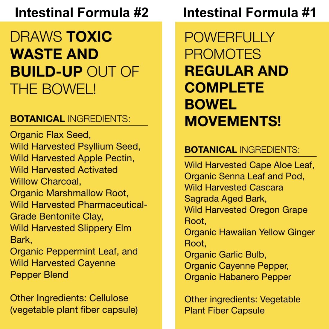 Dr. Schulze's Intestinal Formula #2 (8 Ounces) and Intestinal Formula #1 Capsules - AB Mystery
