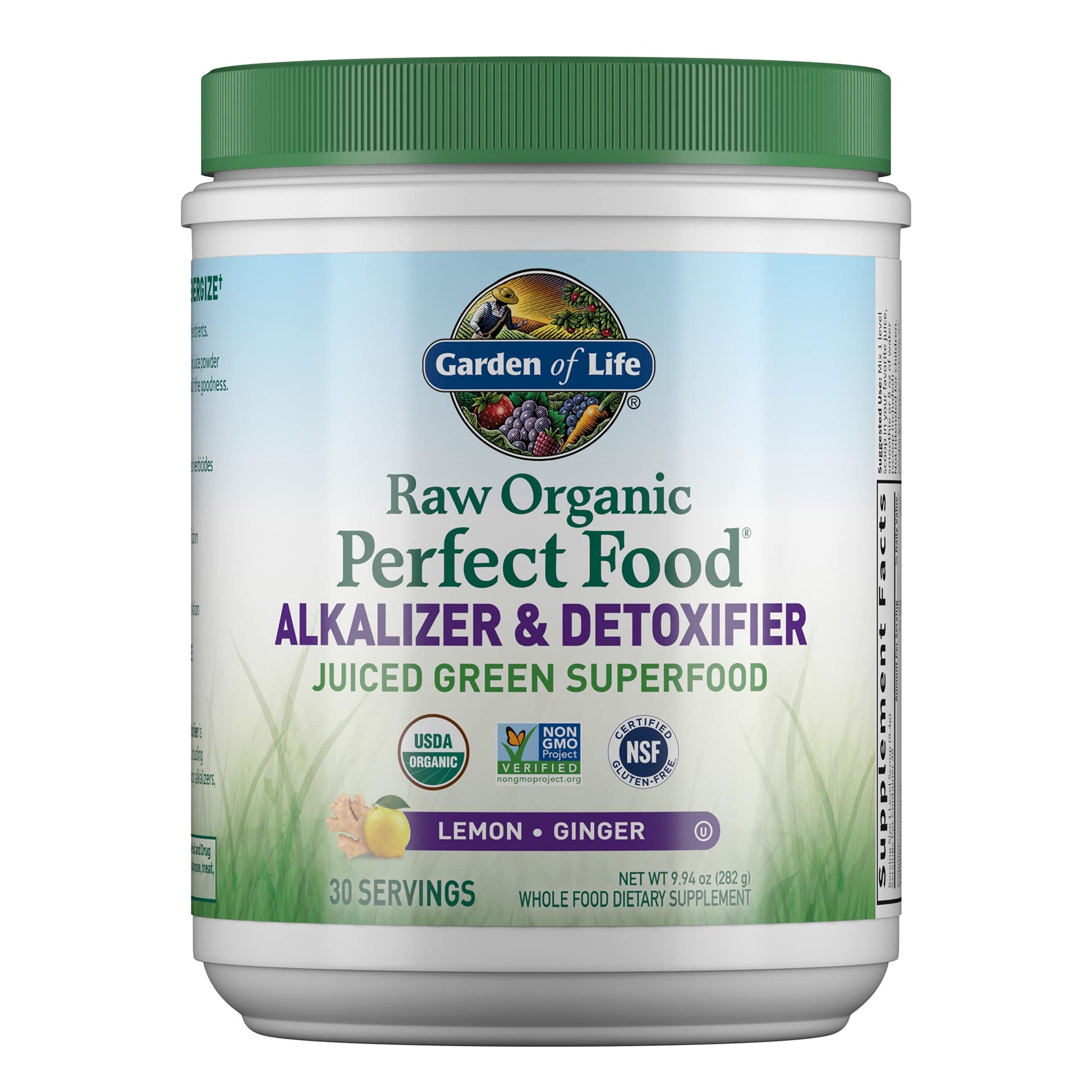 Garden of Life Raw Organic Perfect Food Alkalizer & Detoxifier Juiced Greens Superfood - AB Mystery