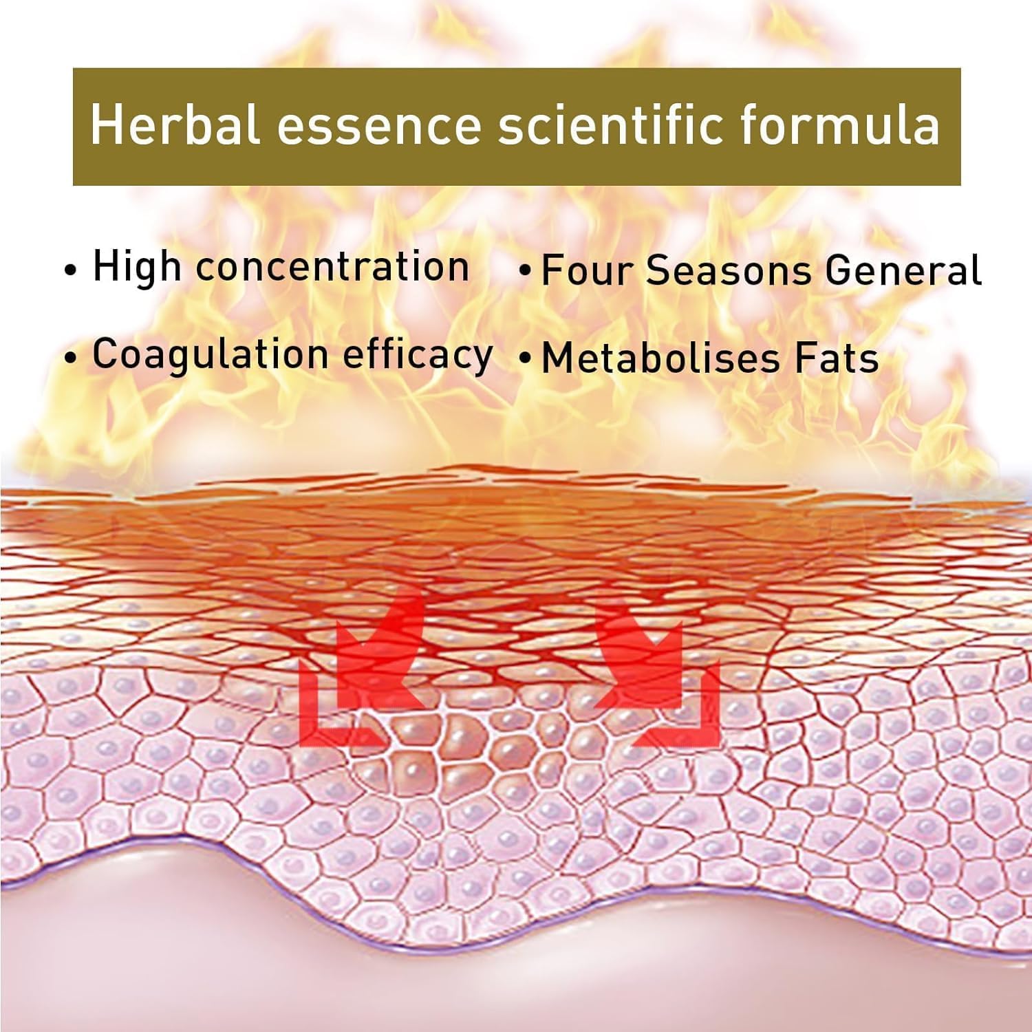 Bee Venom Slimming Nose Ring, Bee Venom Lymphatic Drainage Nose Ring, Bee Venom Lymphatic - AB Mystery