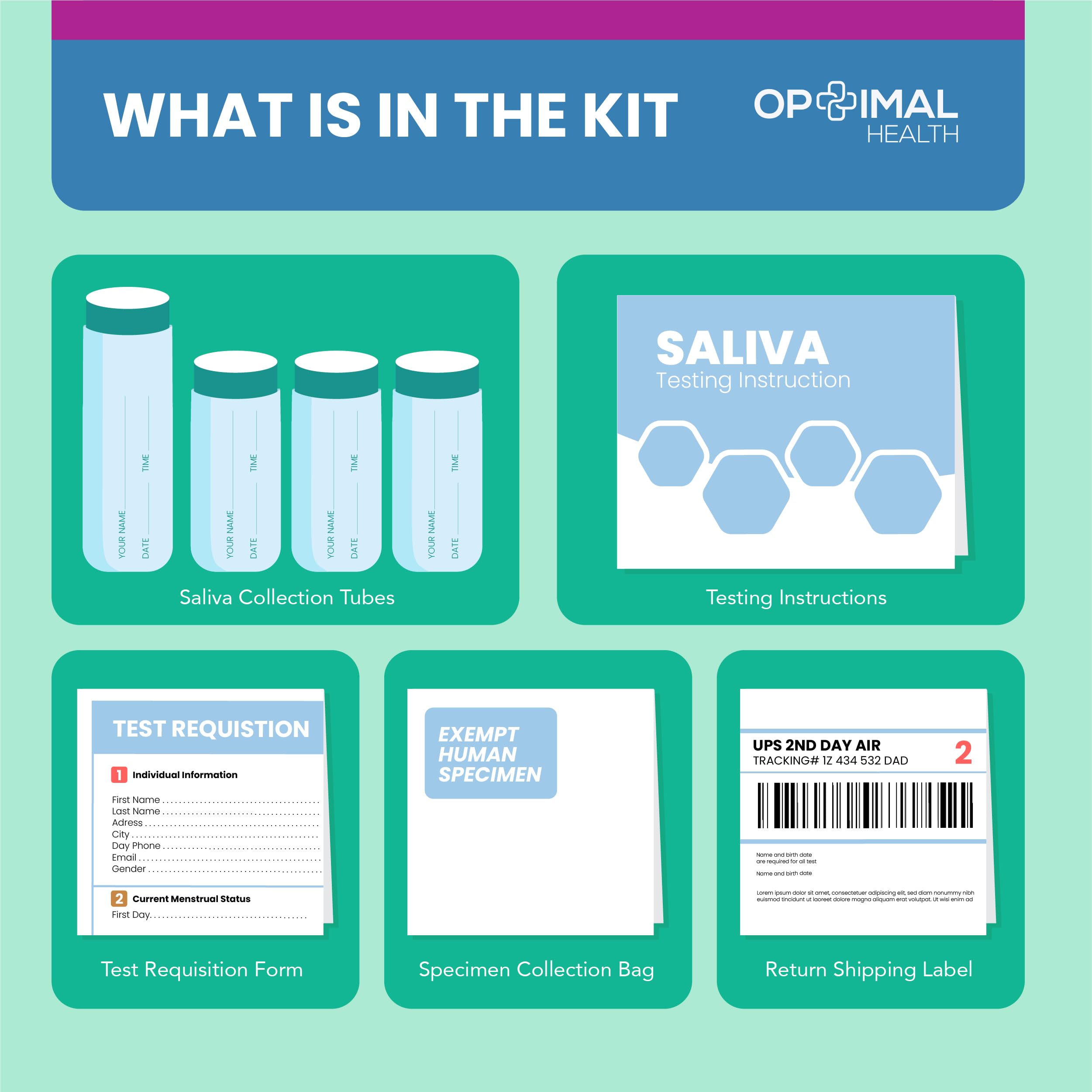 Estradiol (E2) & Progesterone (PG) | Saliva Hormone Test Kit for Women | Progesterone Deficiency - AB Mystery